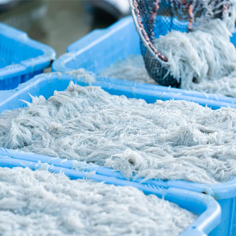 加工場への運搬