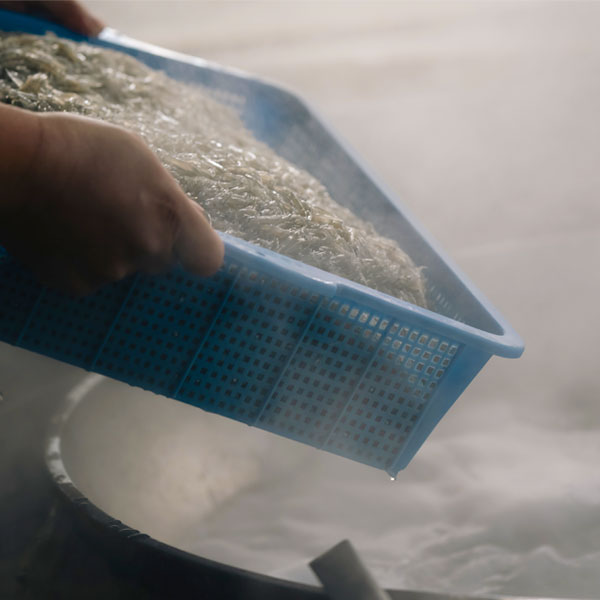 しらす投入の様子