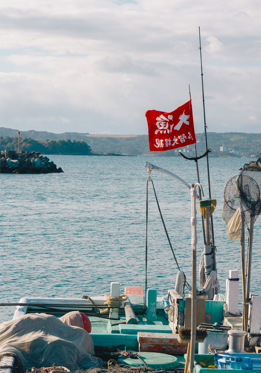 しらす漁の様子