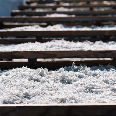 確認作業の様子