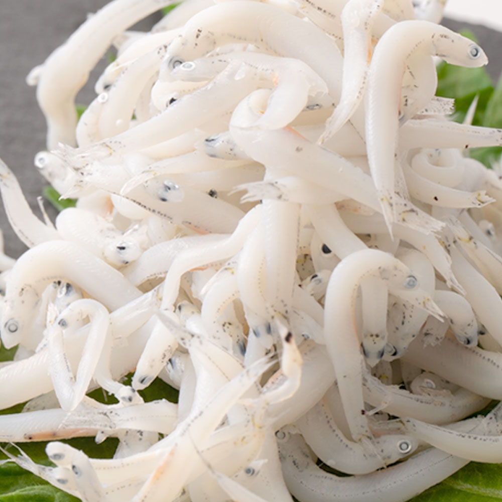 しらすのアップ