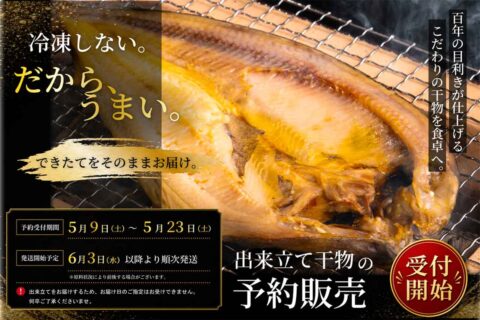 【6月3日以降順次出荷 冷凍しない干物】できたて干物セット